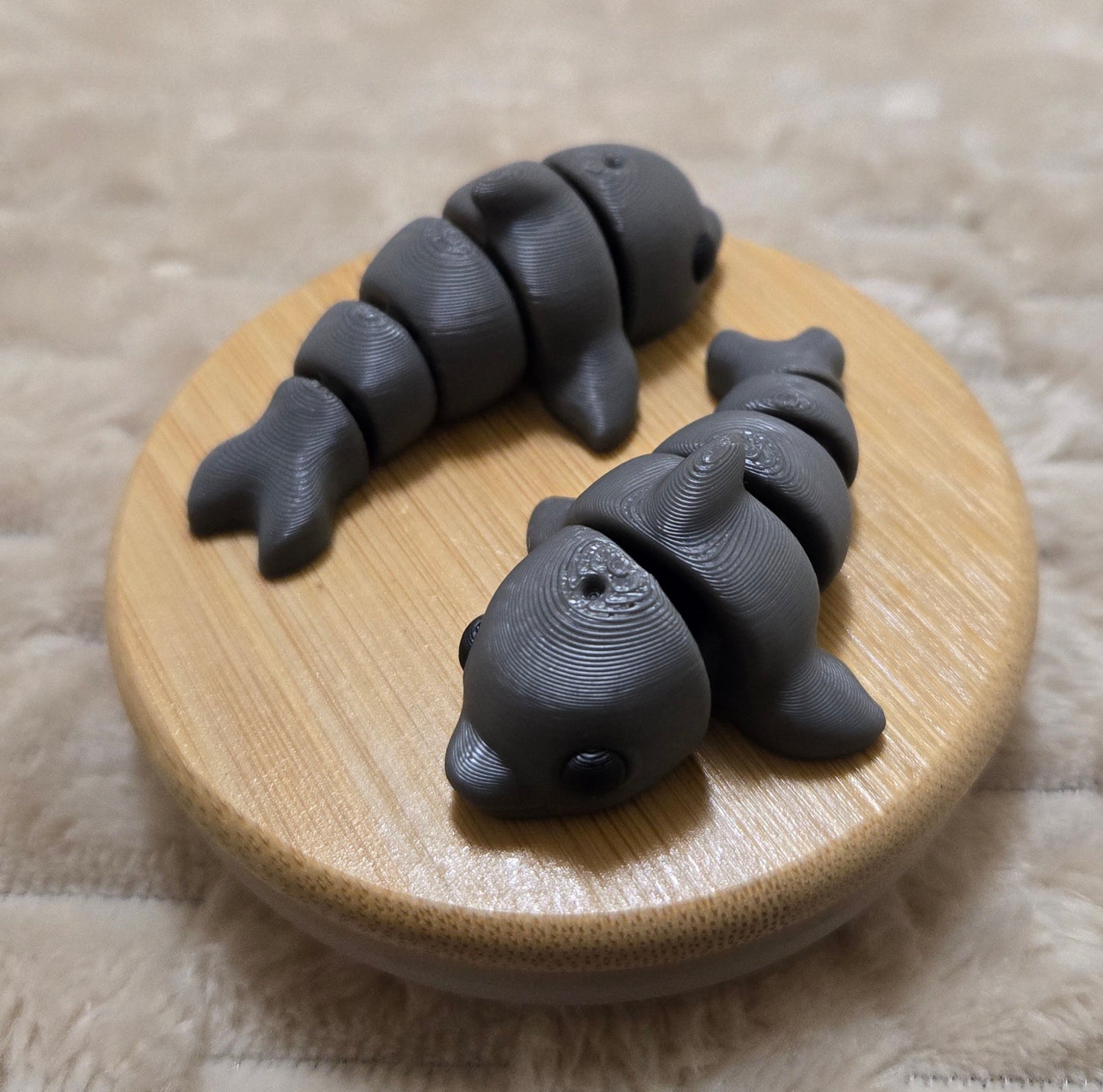 Mini Dolphin