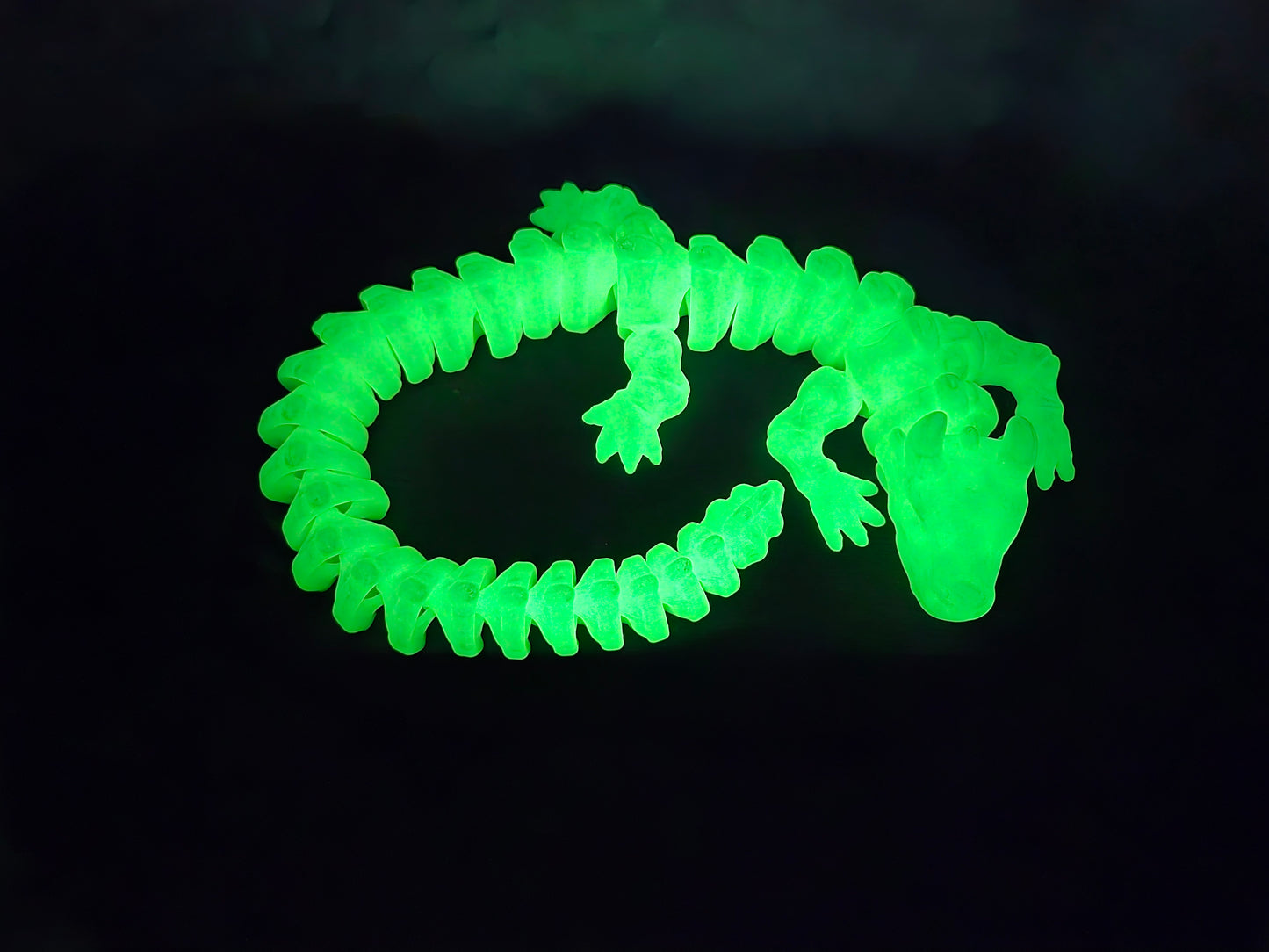Glow in the Dark Dragon