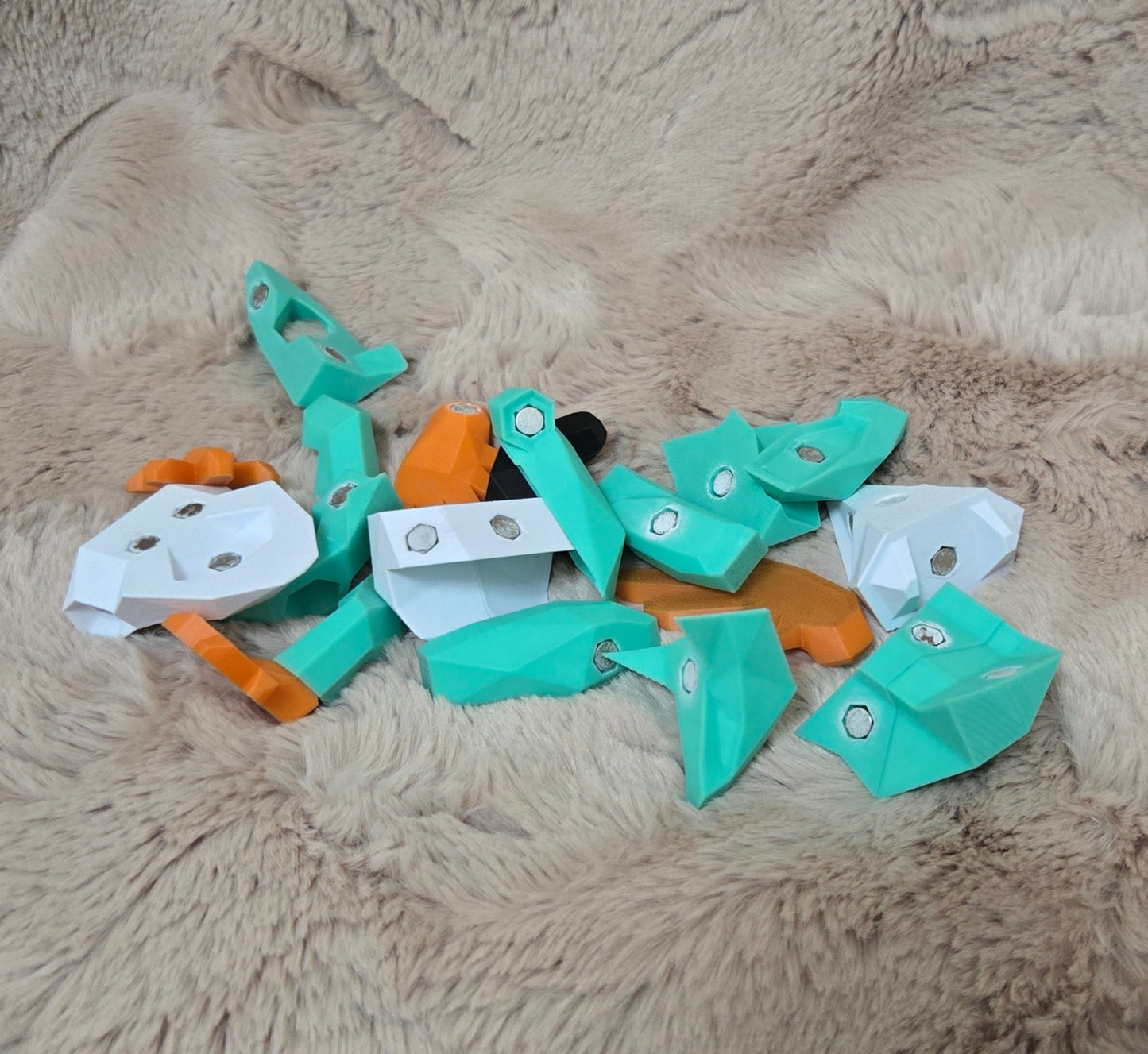 Magnetic Frog Puzzle