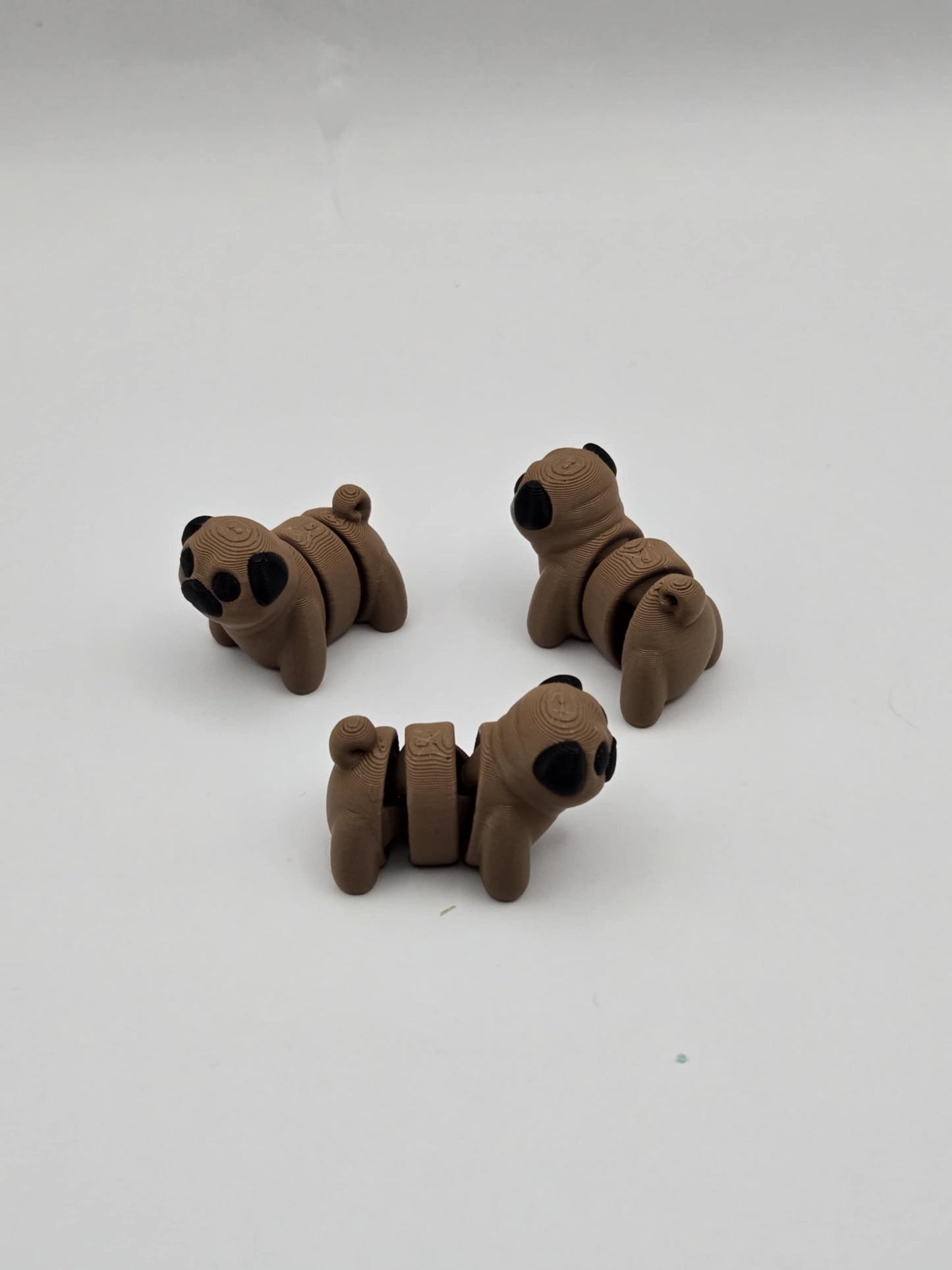Pug