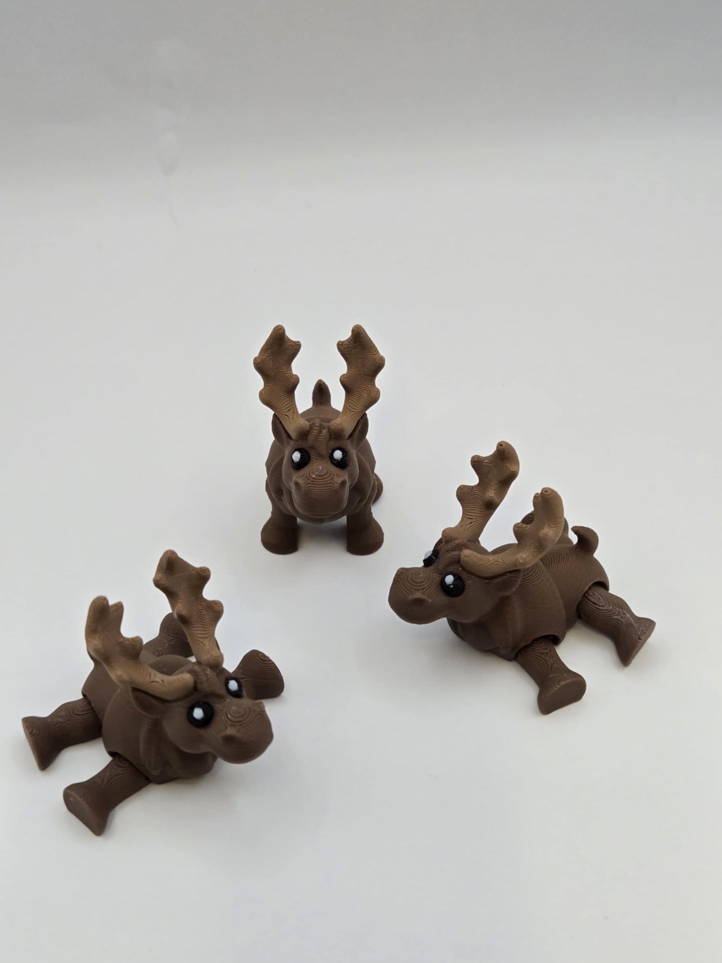 Moose