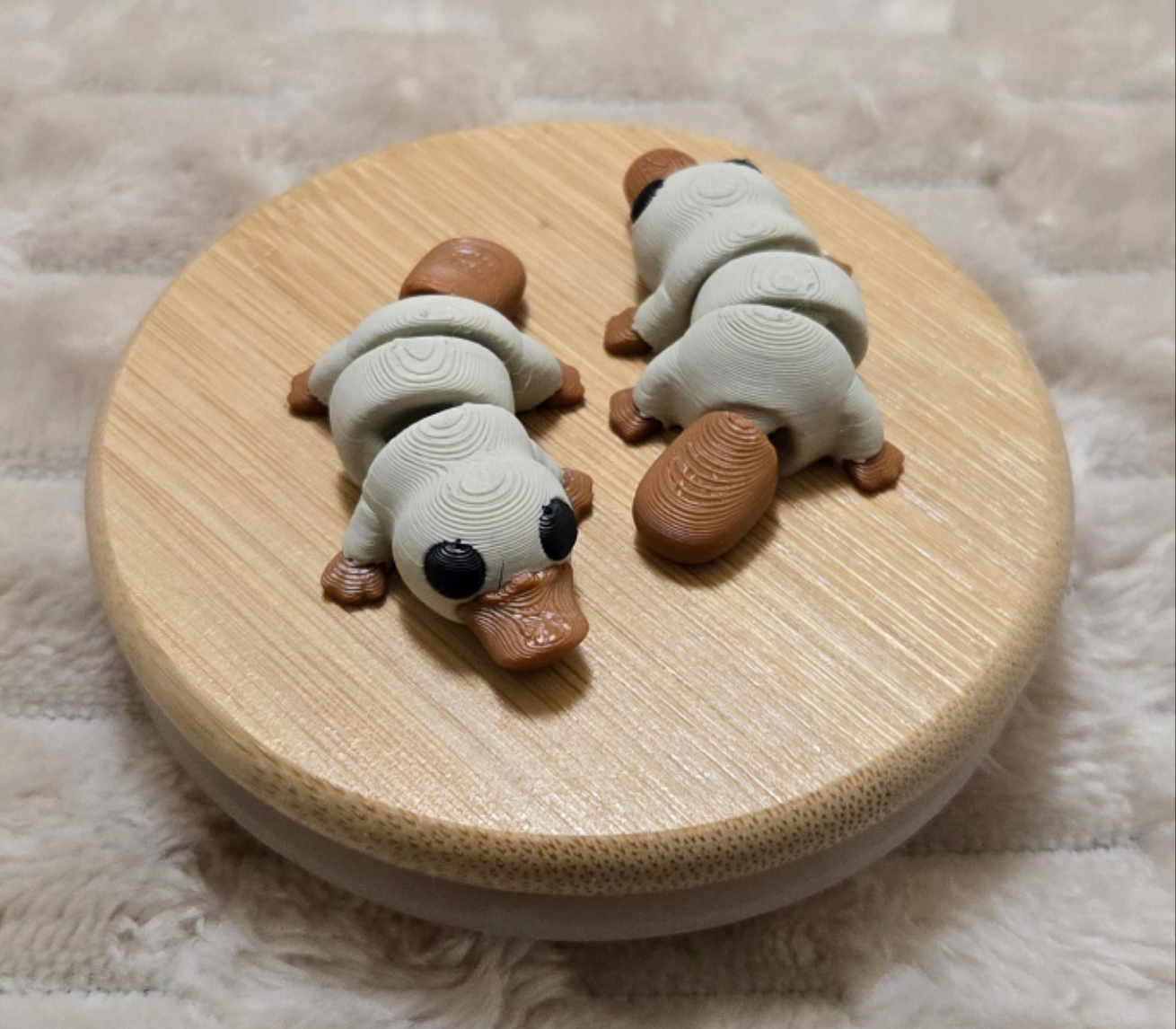 Mini Platypus