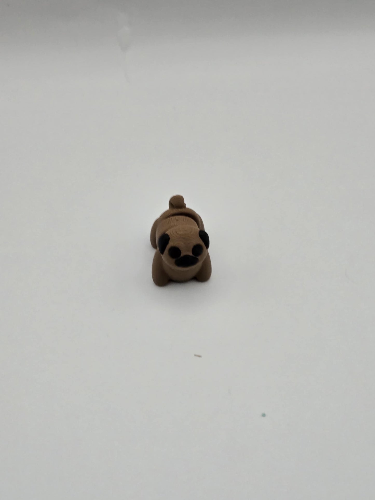 Pug