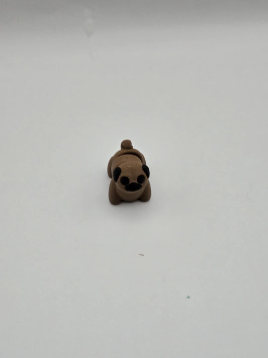 Pug