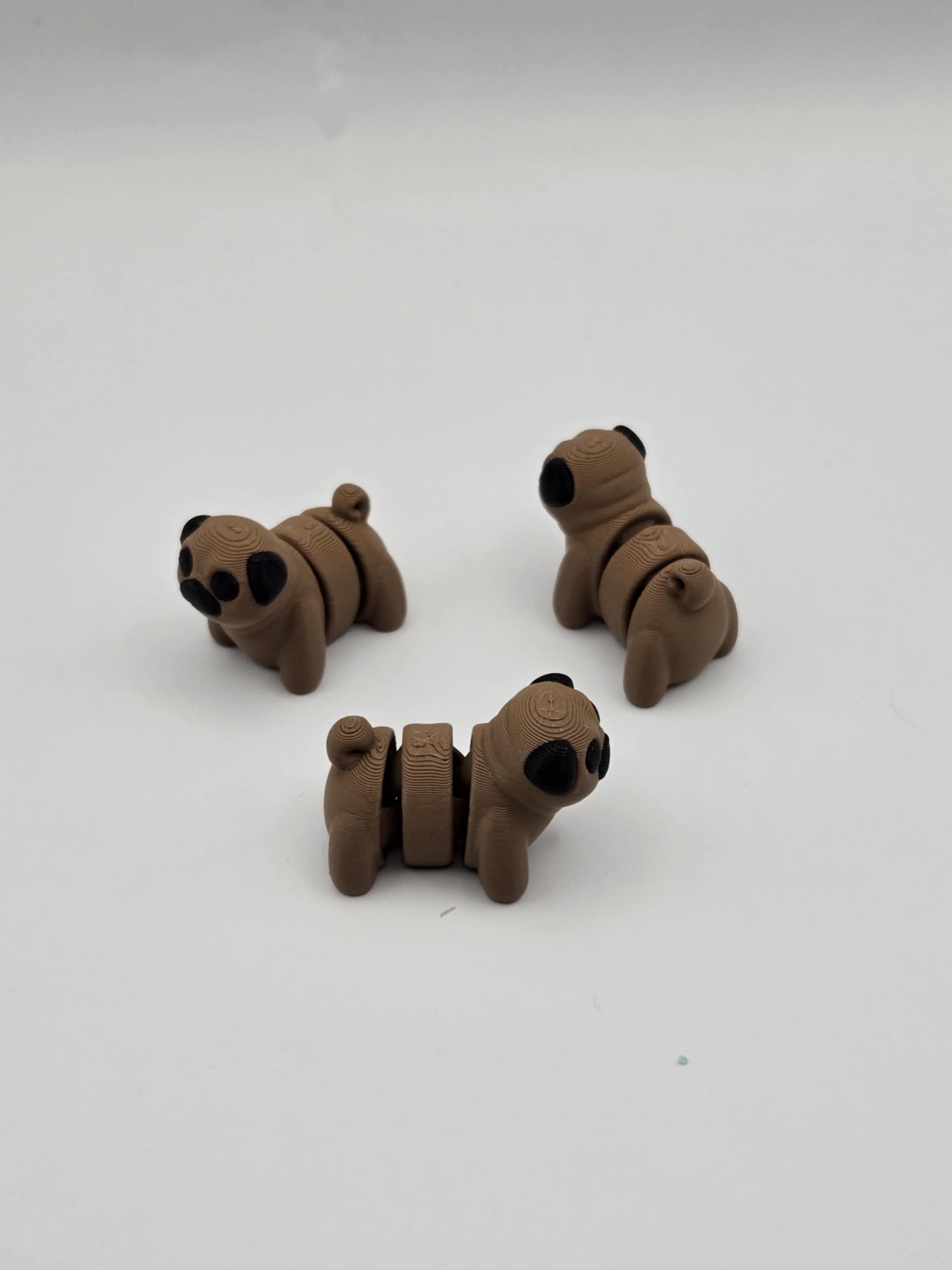 Pug