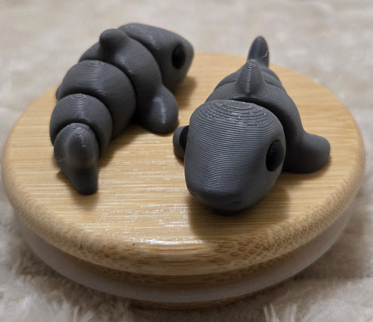 Mini Shark