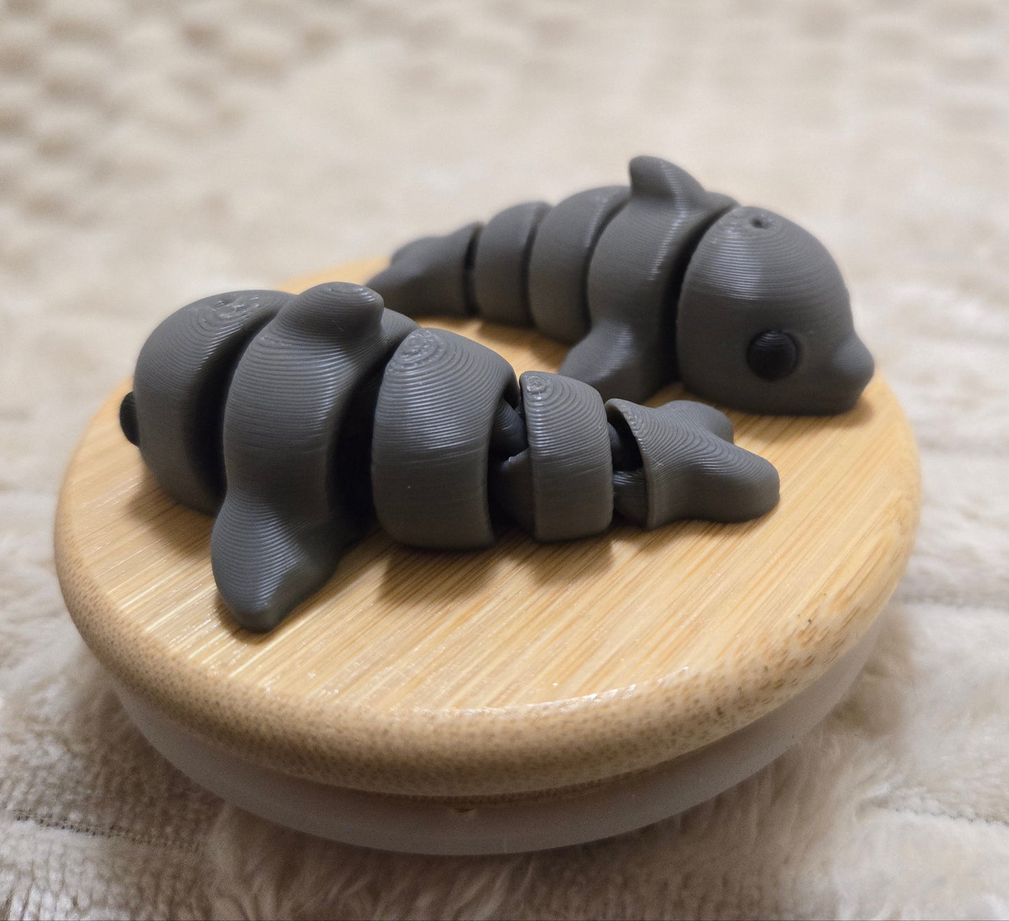 Mini Dolphin