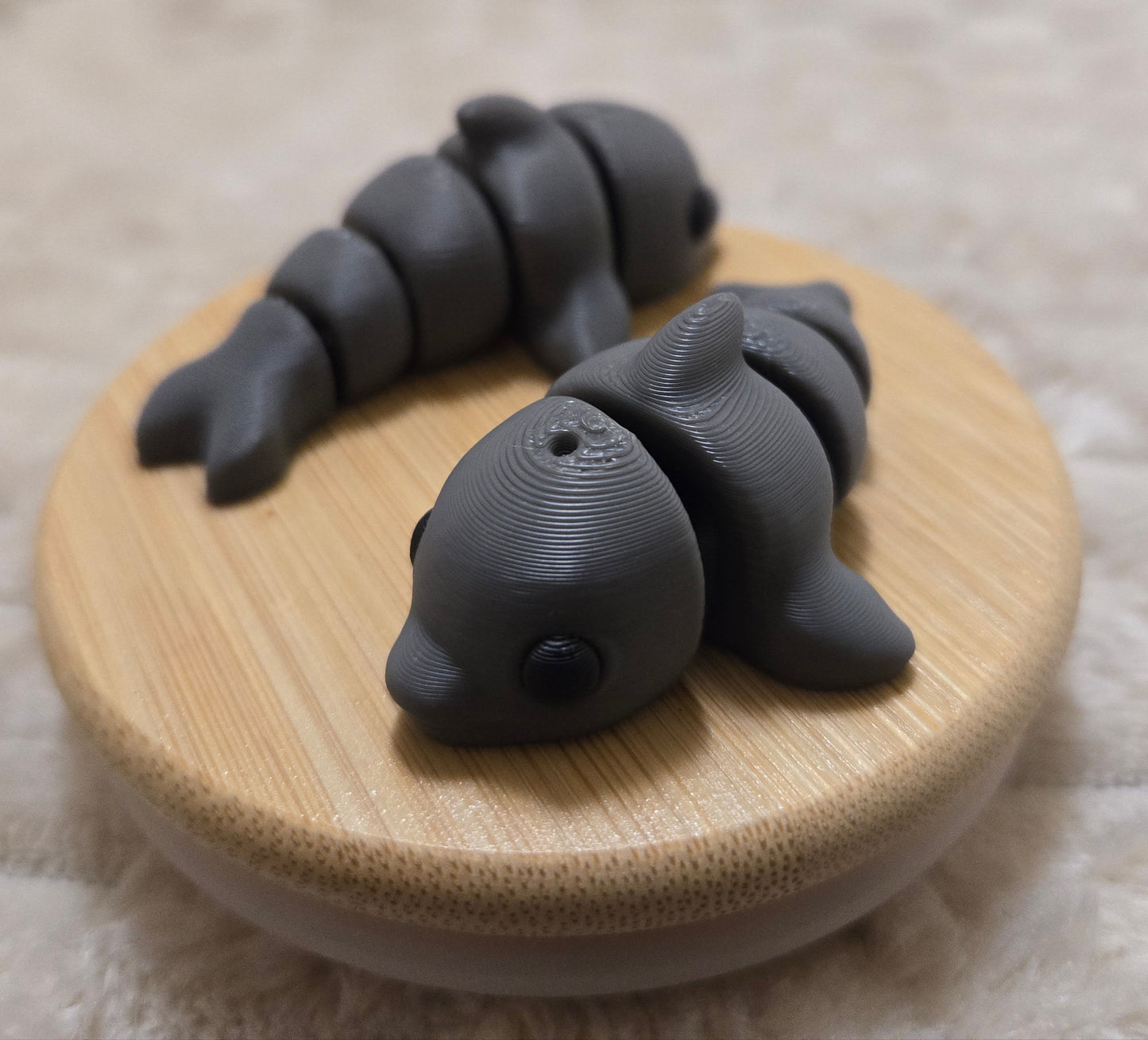 Mini Dolphin