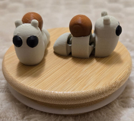 Mini Snail