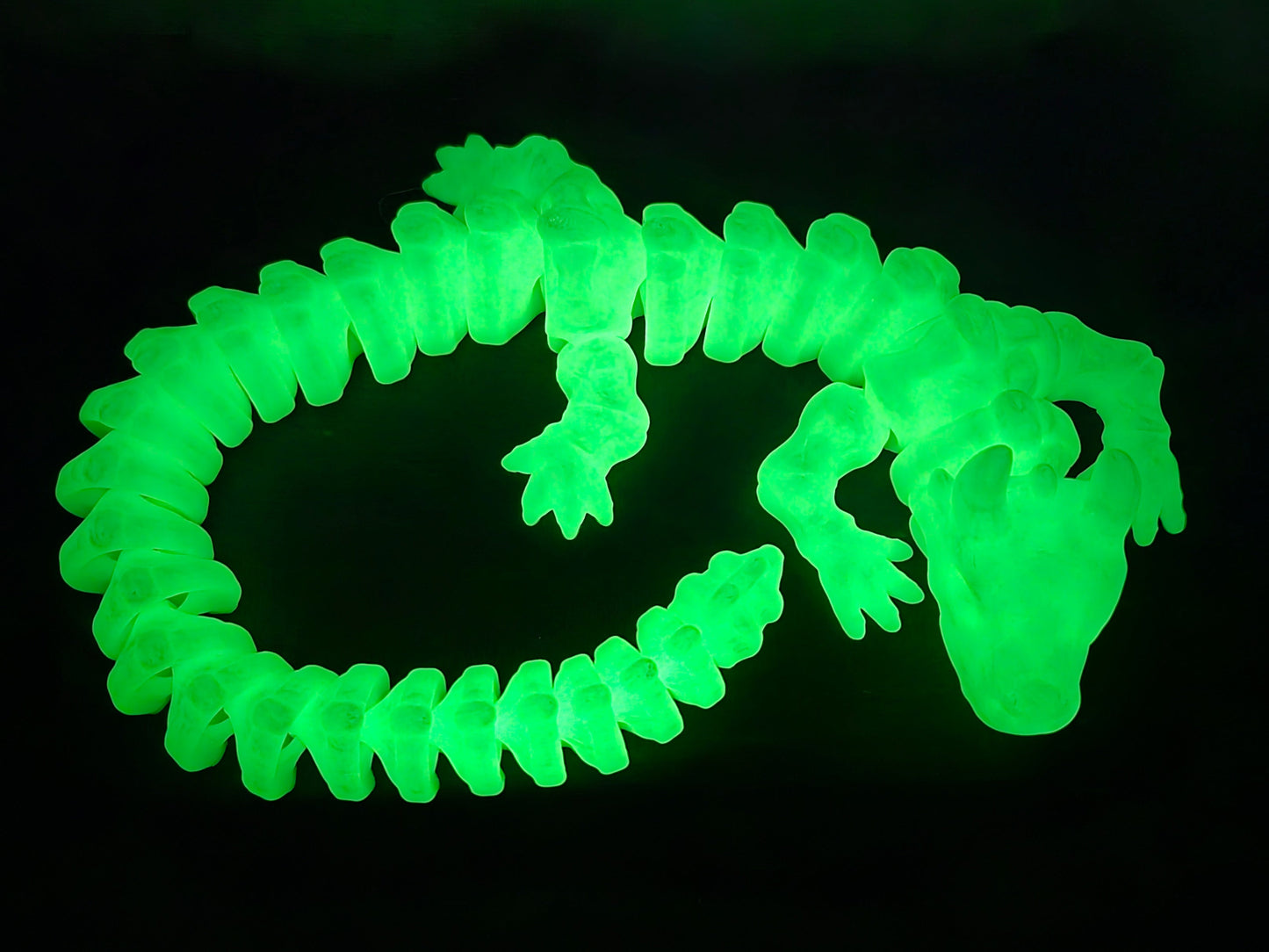 Glow in the Dark Dragon