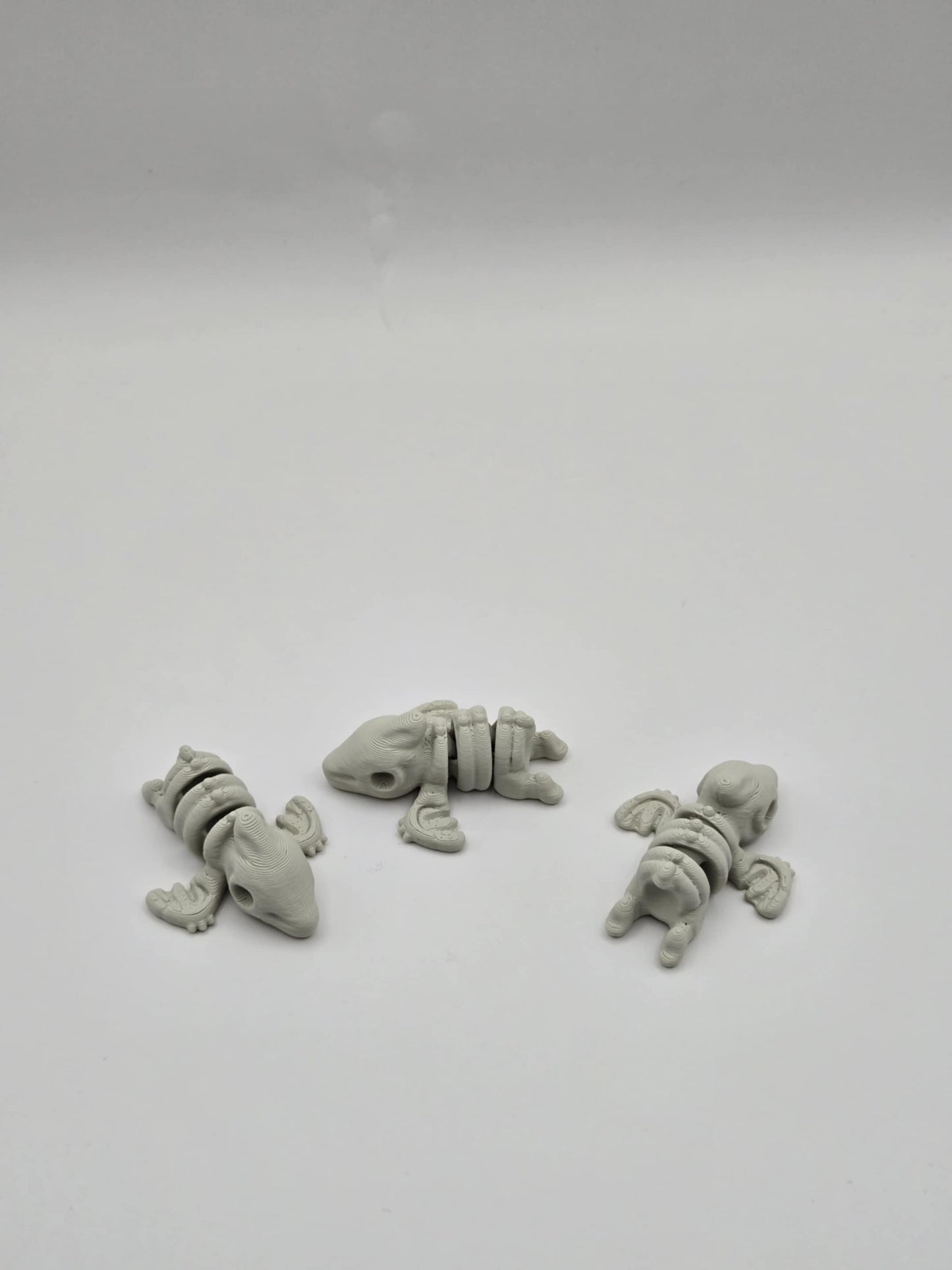 Skeleton Pterodactyl