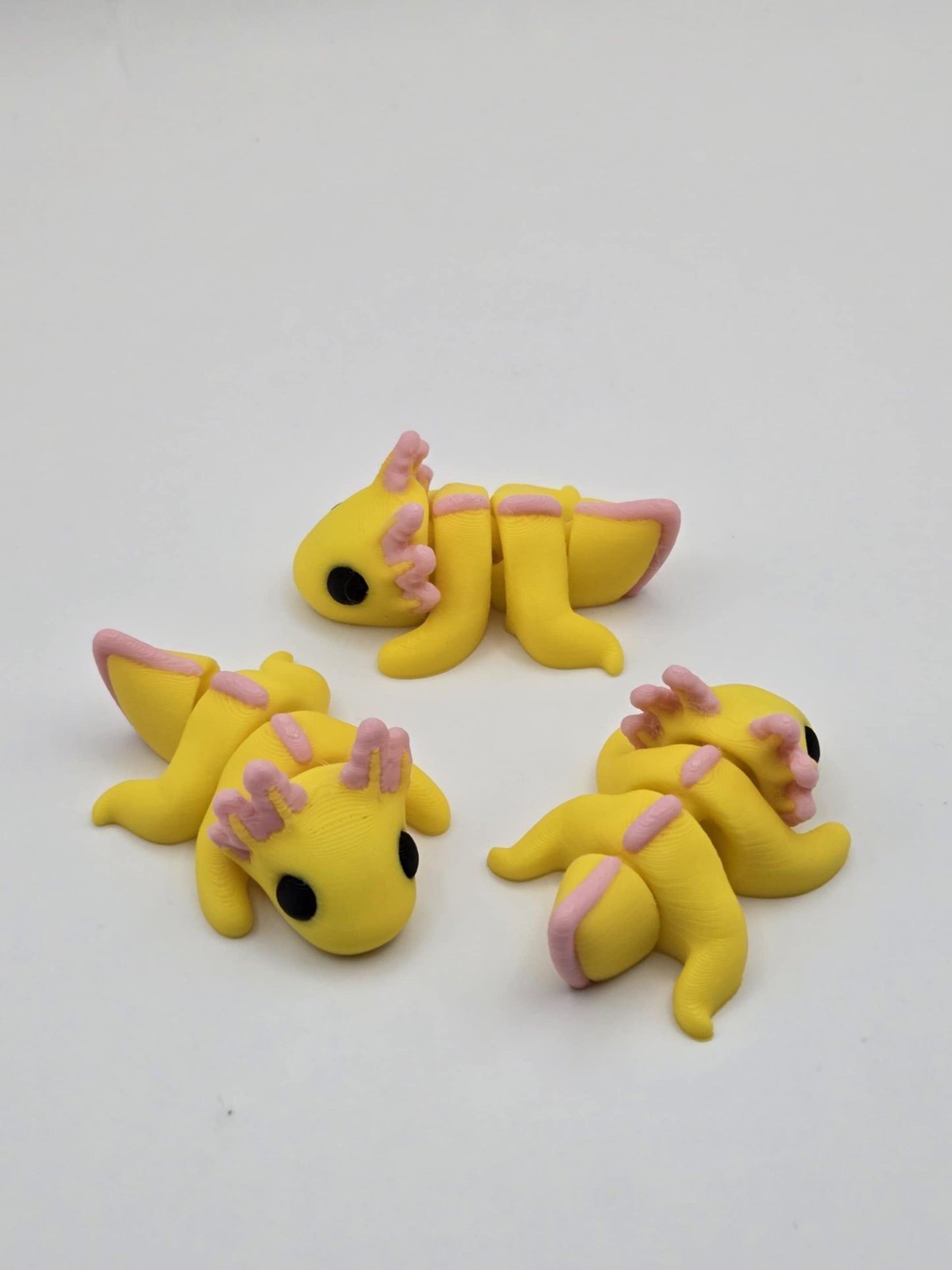 Axolotl