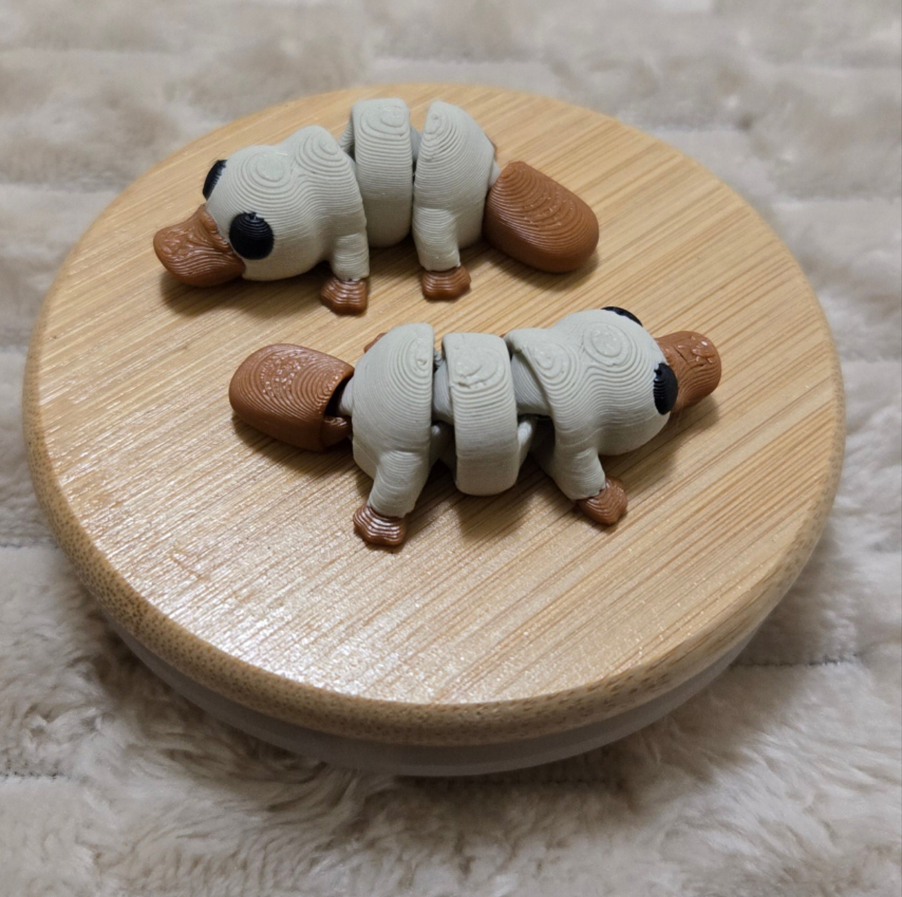 Mini Platypus