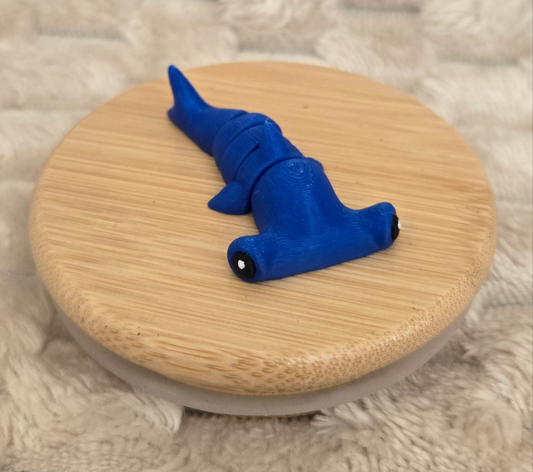 Mini Hammer Head Shark