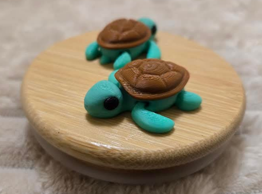 Tiny Turtle