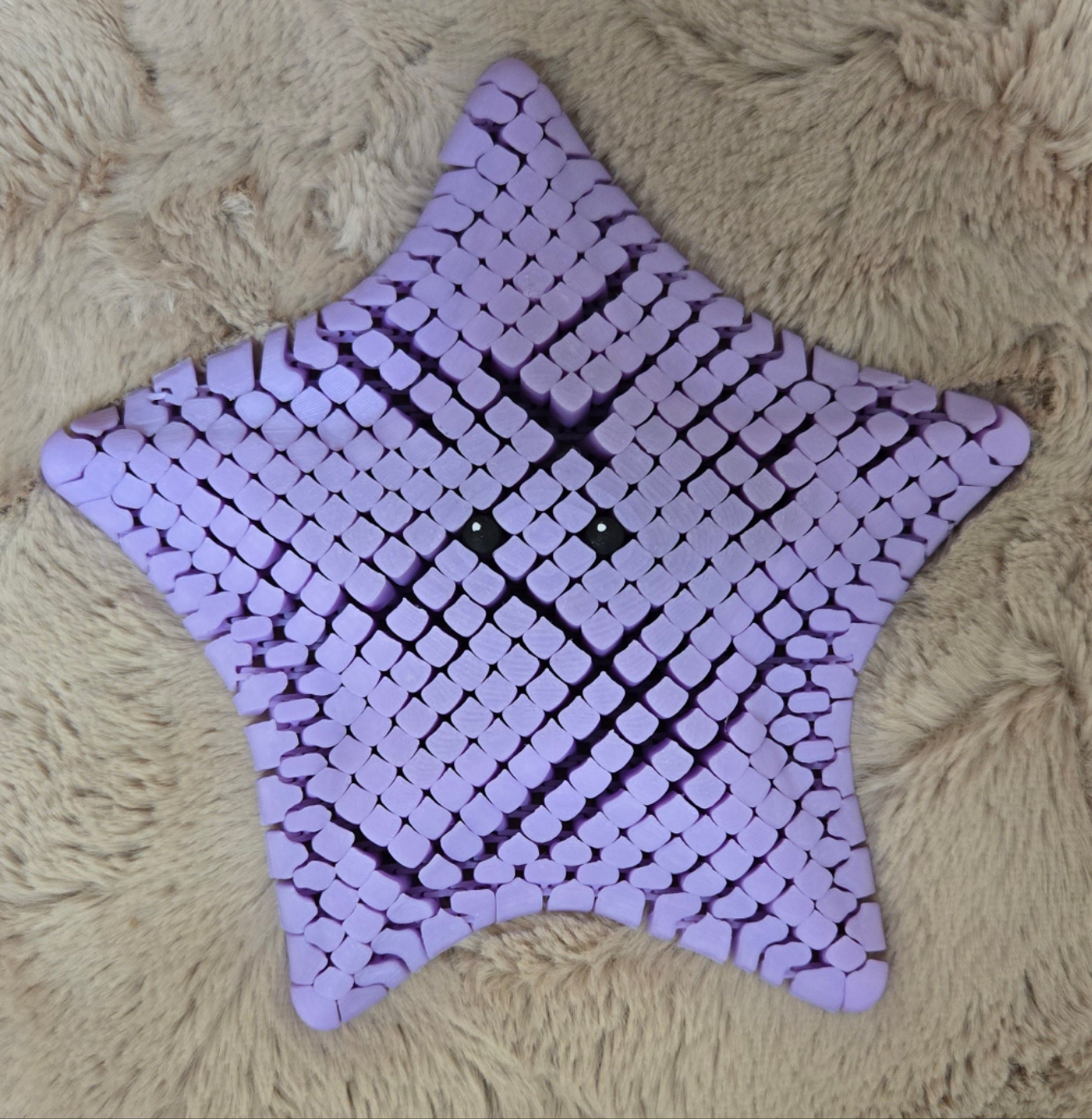 Starfish Fidget