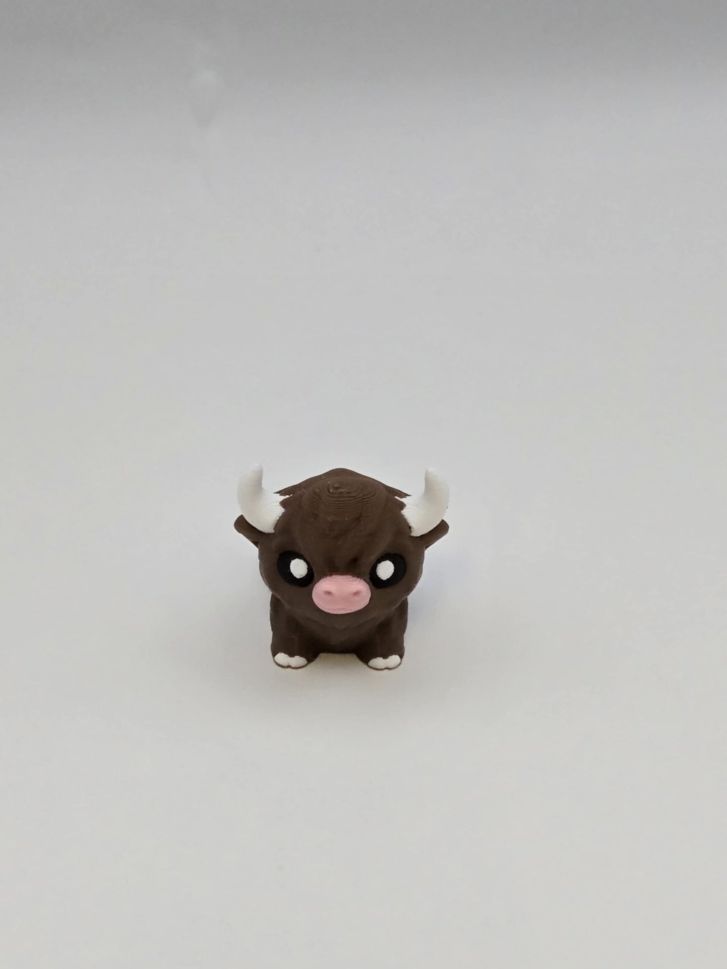 Highland Cow