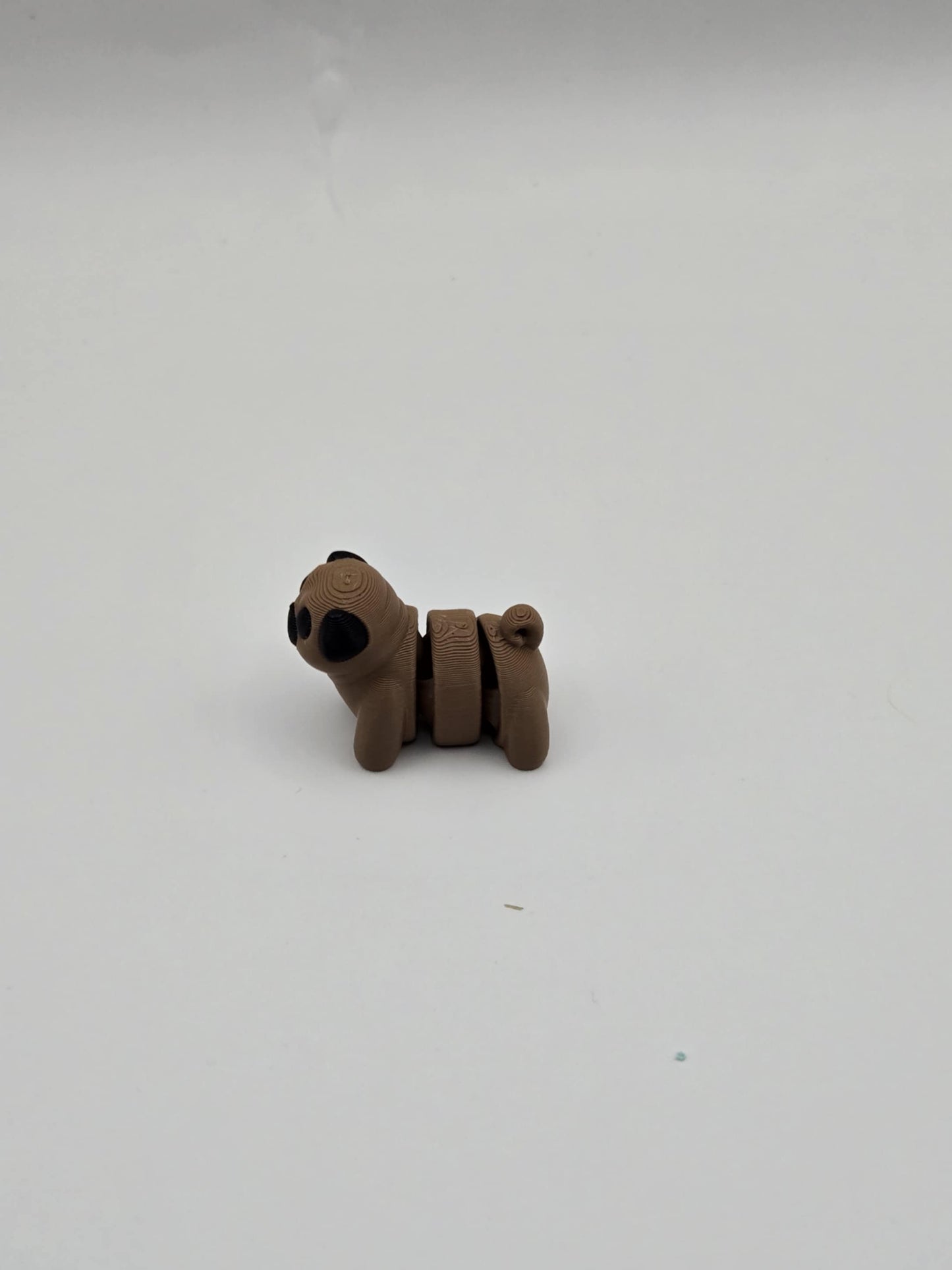 Pug