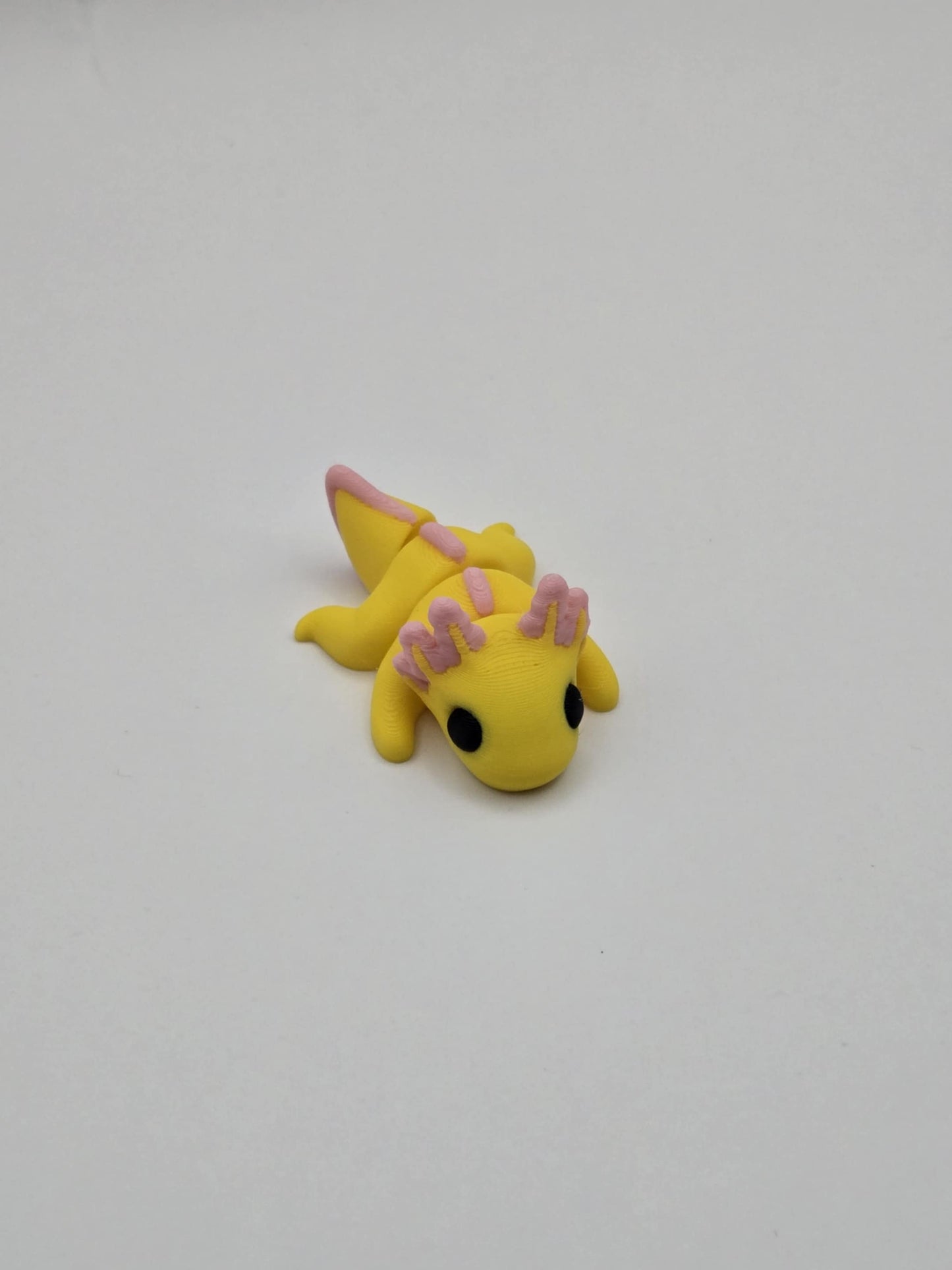 Axolotl