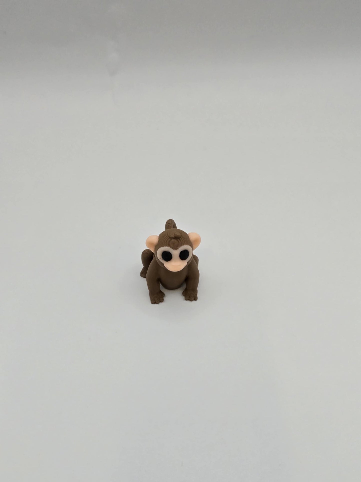Monkey