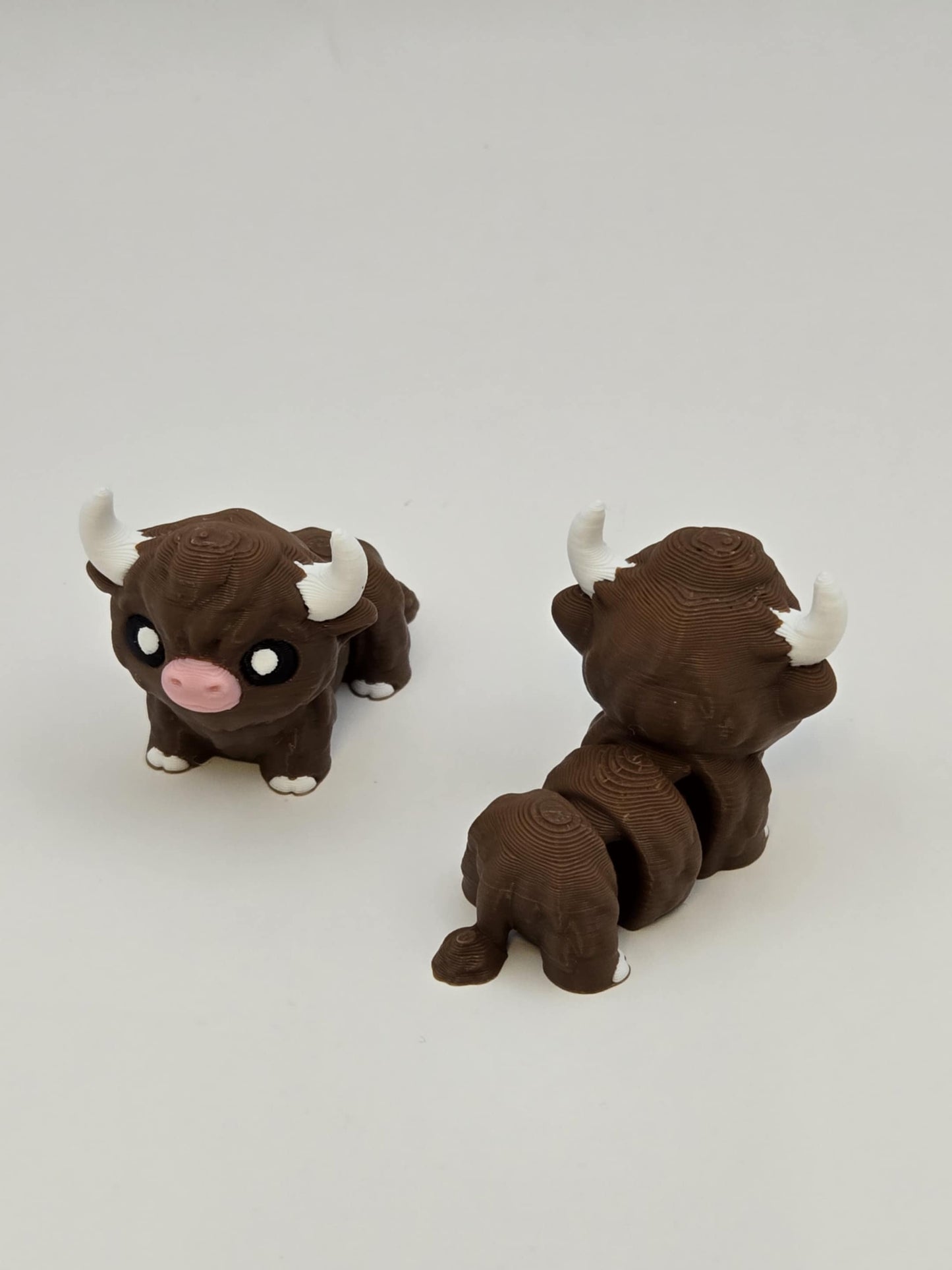 Highland Cow