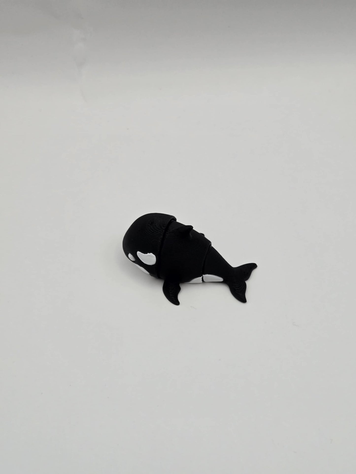 Orca